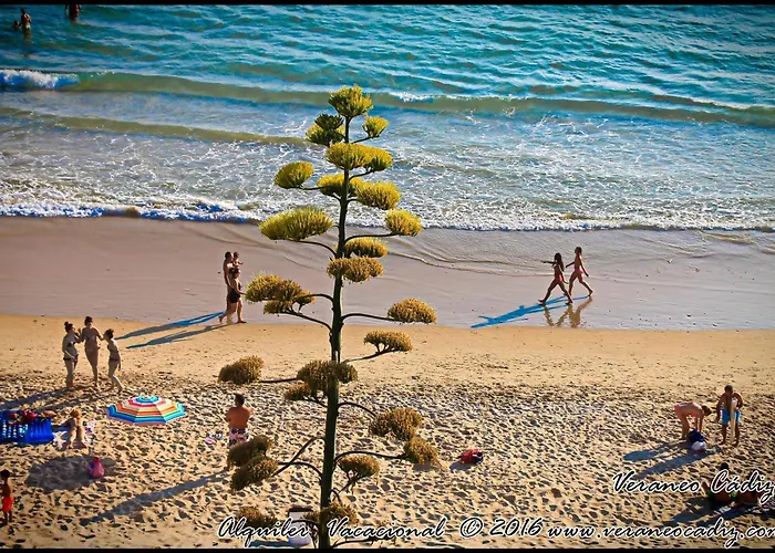 Piedra De La Redona * Conil De La Frontera
