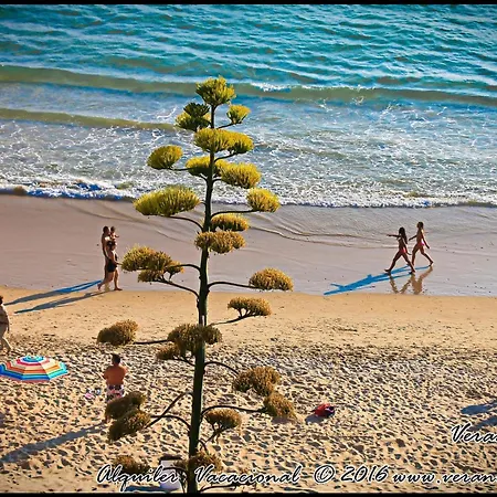 Piedra De La Redona * Коніль-де-ла-Фронтера
